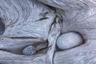 Canada-Ontario-Marathon Rocks in driftwood on Pebble Beach Art Print